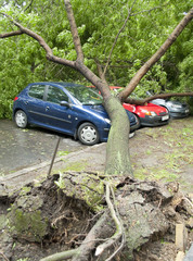 Damaged cars