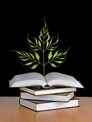 Tree growing from a book