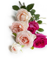Obraz na płótnie Canvas beauty roses