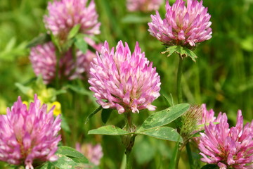 SONY DSC © Axel Gutjahr