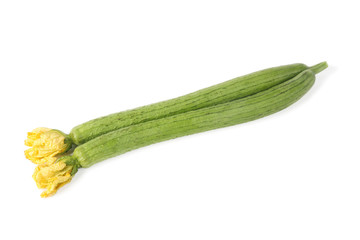 loofah