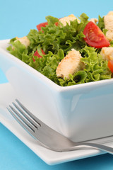 Chicken salad with fresh lettuce and cherry tomatoes