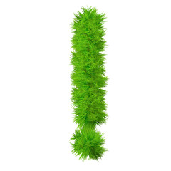 High resolution conceptual grass symbol isolated