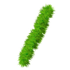 High resolution conceptual grass symbol isolated