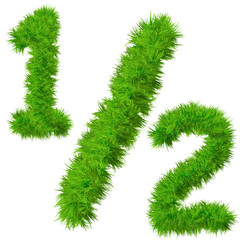 High resolution conceptual grass symbol isolated