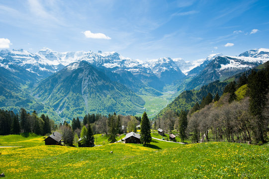 Braunwald