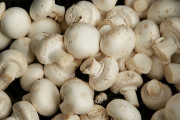 white mushrooms