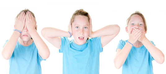 See, hear, speak no evil © Cheryl Casey