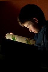 Young boy reading book
