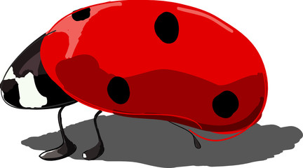 Ladybug