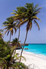 Fotobehang Tropical caribbean beach / Bottom Bay / Barbados © Digishooter