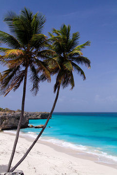 Tropical caribbean beach / Bottom Bay / Barbados