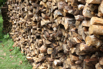 firewood