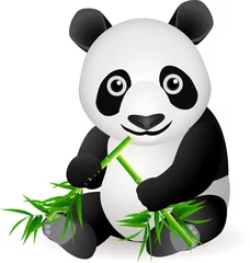 Crédence de cuisine en verre imprimé Zoo Panda