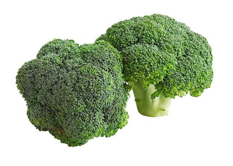 Broccoli Cabbage isolated on white .