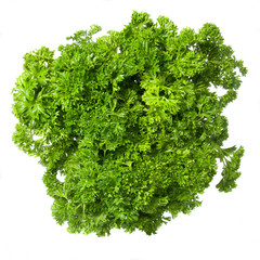 Bouquet of parsley isolated on white