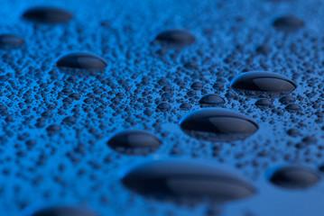 macro photo of water drops