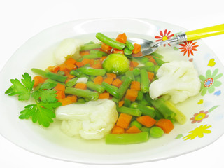 vegetable soup with haricot bean
