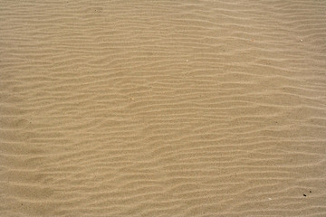 Fototapeta na wymiar camargue spiaggia