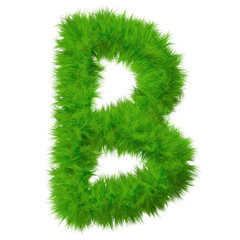 High resolution green grass font isolated o white