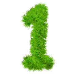 High resolution grass number isolated on white background