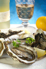 opened oyster on dish- piatto di ostriche