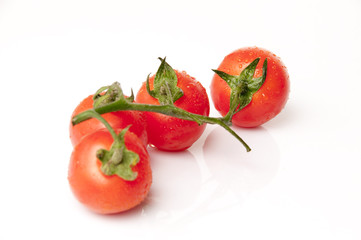 pomodorini