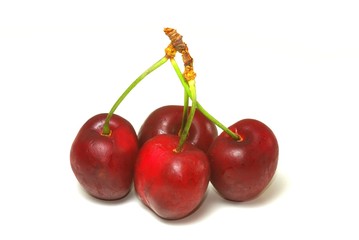 cerises