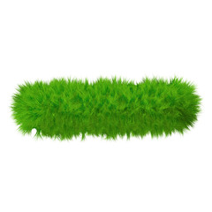 High resolution conceptual grass symbol isolated on white