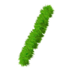 High resolution conceptual grass symbol isolated on white