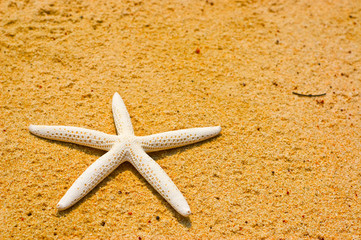 Starfish