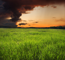 Fototapeta premium Beautiful sunset