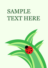 Little ladybug on grass