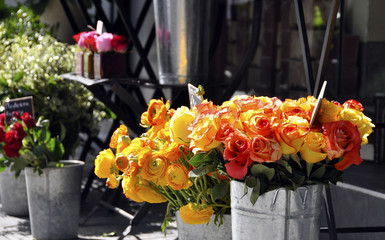 Roses #1