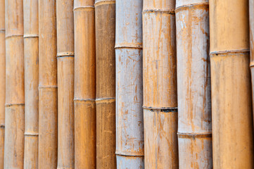 bamboo wall