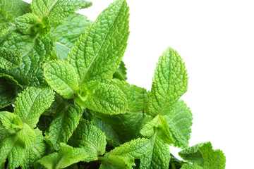 Border of mint