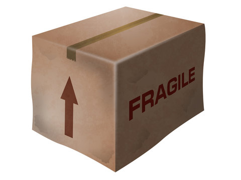 cardboard box  (fragile)