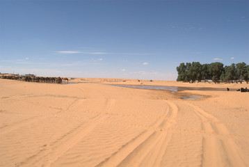 Fototapeta na wymiar Oase in der Sahara