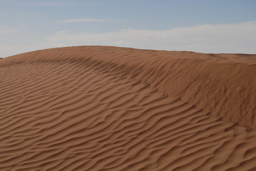 Sahara