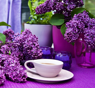 Fototapeta Summer tea
