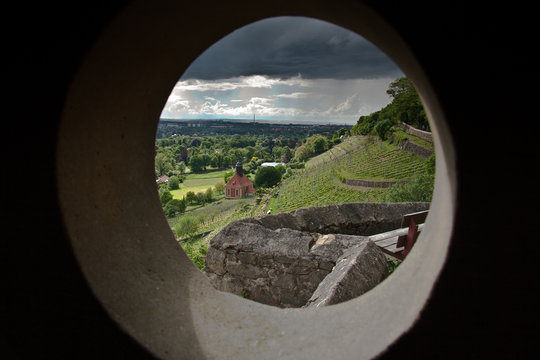 Blick zum Pillnitzer Weinberg