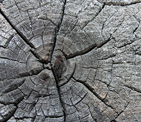 texture of old paint