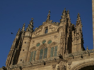 Fototapeta na wymiar Szczegółowo portyku Nowa Katedra w Salamance