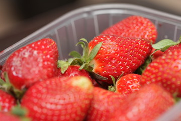 barquette de fraises