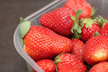 barquette de fraises