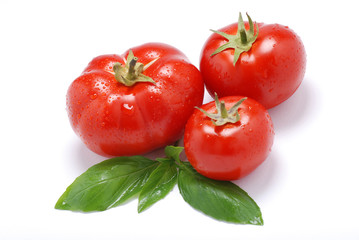 rosso pomodoro quattro