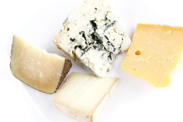 four type of delicatessen cheeses on plate