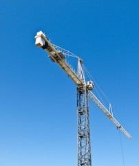 Naklejka premium Crane