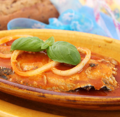 hering in tomatensauce