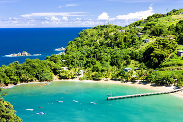 Baie de Parlatuvier, Tobago